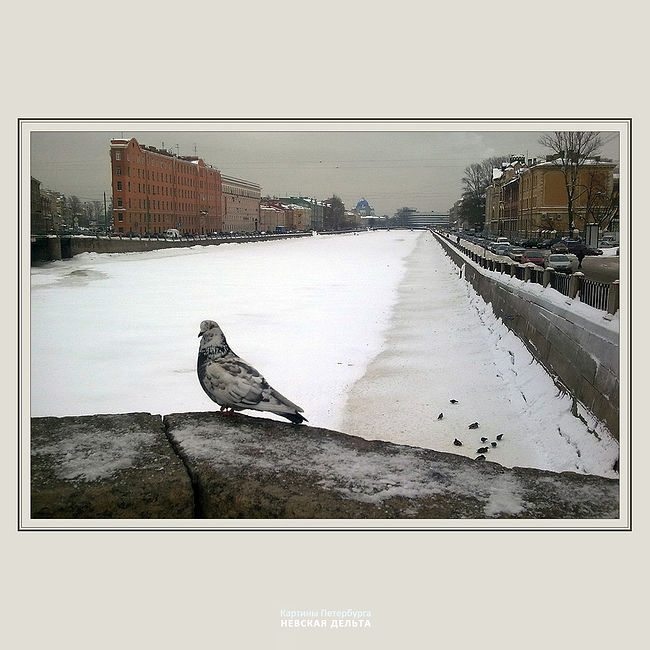Александр Китаев. Картины Петербурга-1. Невская дельта. Фонтанка - 2010